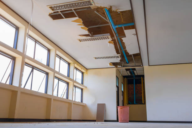 Carpet water damage restoration in Laramie, WY