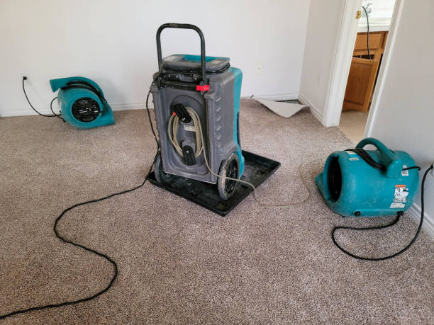 Water damage restoration experts in Laramie, WY