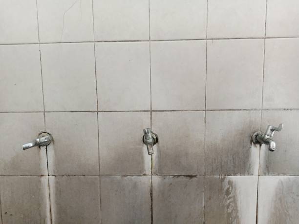 Best 24/7 water damage repair  in Laramie, WY