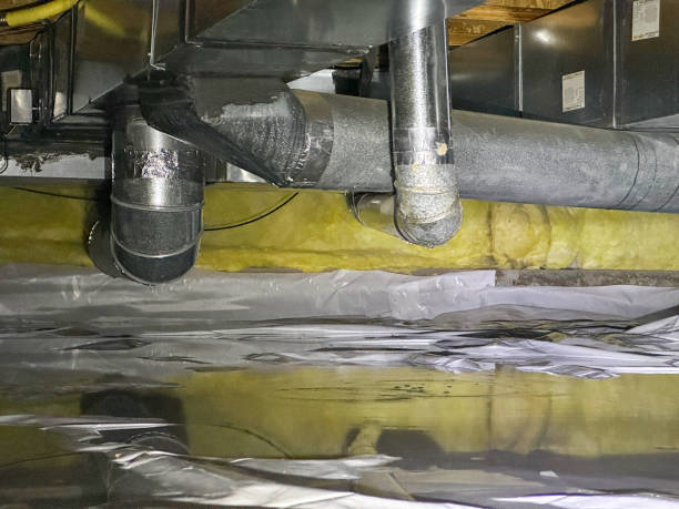 Best Local water damage restoration  in Laramie, WY