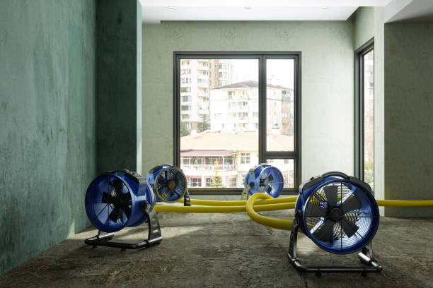 Best Professional water damage repair  in Laramie, WY