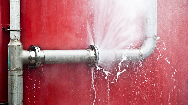 Best Carpet water damage restoration  in Laramie, WY
